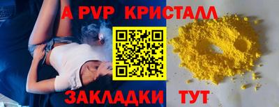 спайс Гай